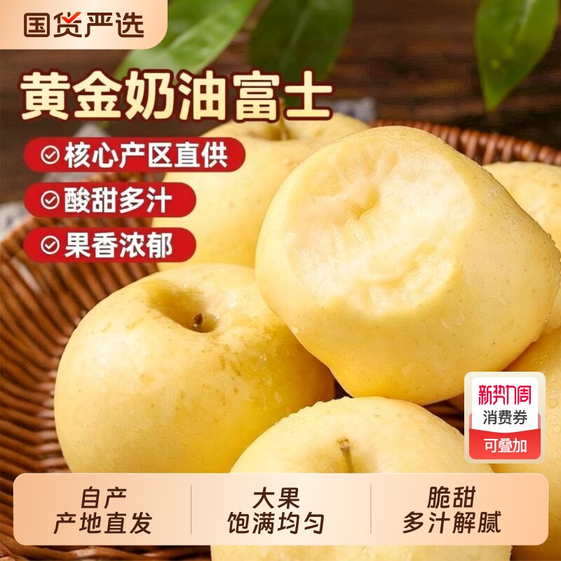 山东烟台黄金奶油富士苹果当季正宗奶油苹果9整箱包邮时令斤鲜果