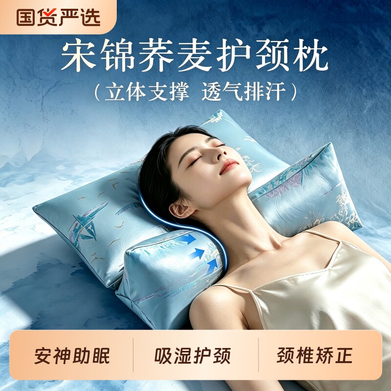 荞麦壳颈椎枕头医院颈椎病人专用助睡眠护颈反弓牵引三角矫正支撑