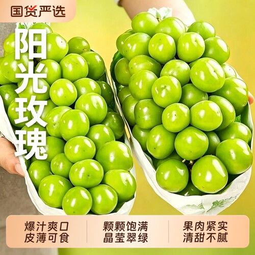 阳光玫瑰葡萄新鲜水果晴王葡萄无籽香印提子青提当季现摘整箱顺丰