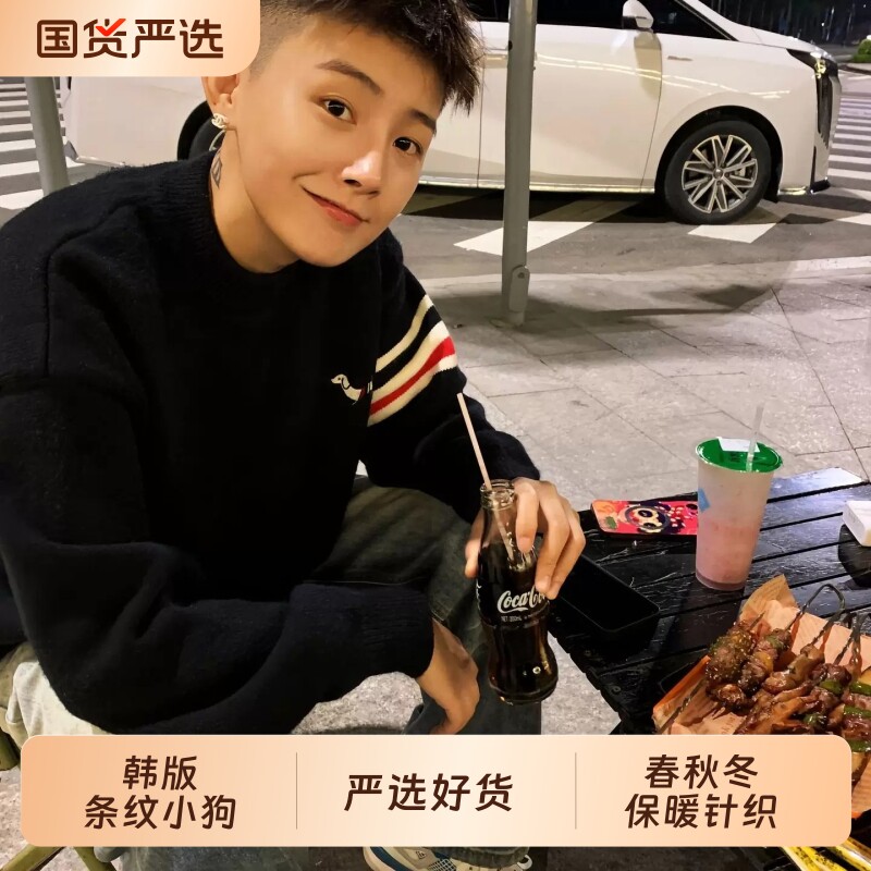 创博鑫秋冬新款条纹小狗毛衣男女韩版圆领套头情侣休闲保暖针织衫