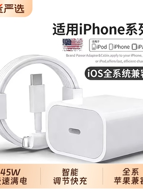 能适45W快充套装适用苹果17/16promax1514pro13充电器全系兼容PD30W数据线 TypeC插头iPad手机快充正品一套冲