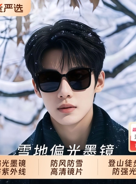 雪地墨镜男款户外徒步爬雪山偏光防雪盲雪镜防紫外线防强光太阳镜