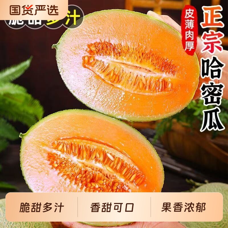 正宗海南哈密瓜玲珑网纹蜜瓜当季现摘脆甜多汁皮薄新鲜香甜整箱装