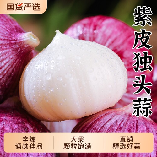 紫皮独头蒜独蒜新鲜蒜头新蒜米5斤干蒜湿大蒜头批发红皮大蒜包邮