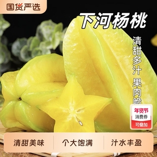 正宗福建漳州下河甜杨桃新鲜应季酸甜爆汁鲜果2斤起现摘整箱