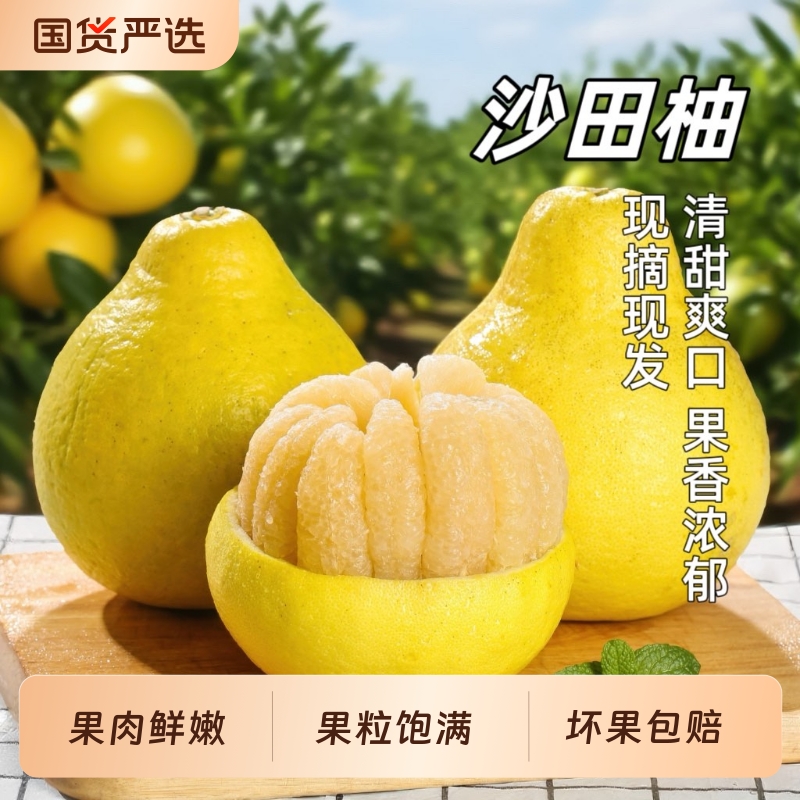 广西容县沙田柚子新鲜水果3斤起白肉纯甜当季现摘蜜柚金柚