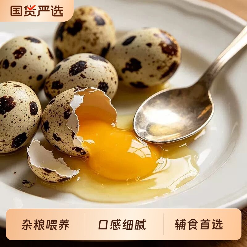 新鲜生鹌鹑蛋农家自产散养儿童营养辅食早餐生鲜蛋口感丰富细腻