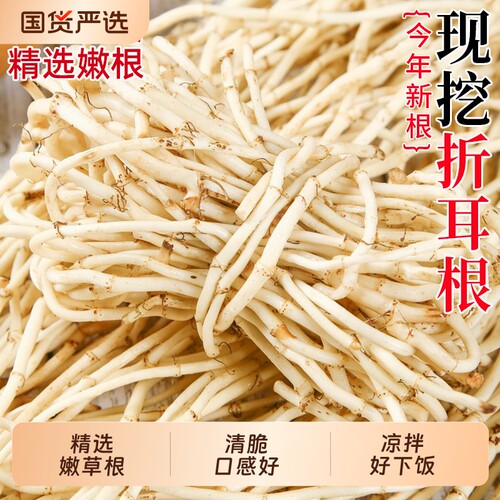 现挖鱼腥草嫩根节节根自种湖北当季猪鼻孔节儿根凉拌菜新鲜折耳根