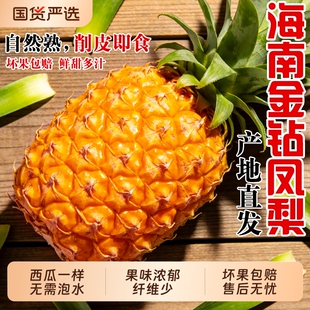 海南金钻凤梨新鲜水果当季芒果凤梨手撕菠萝特产脆甜大果应季整箱