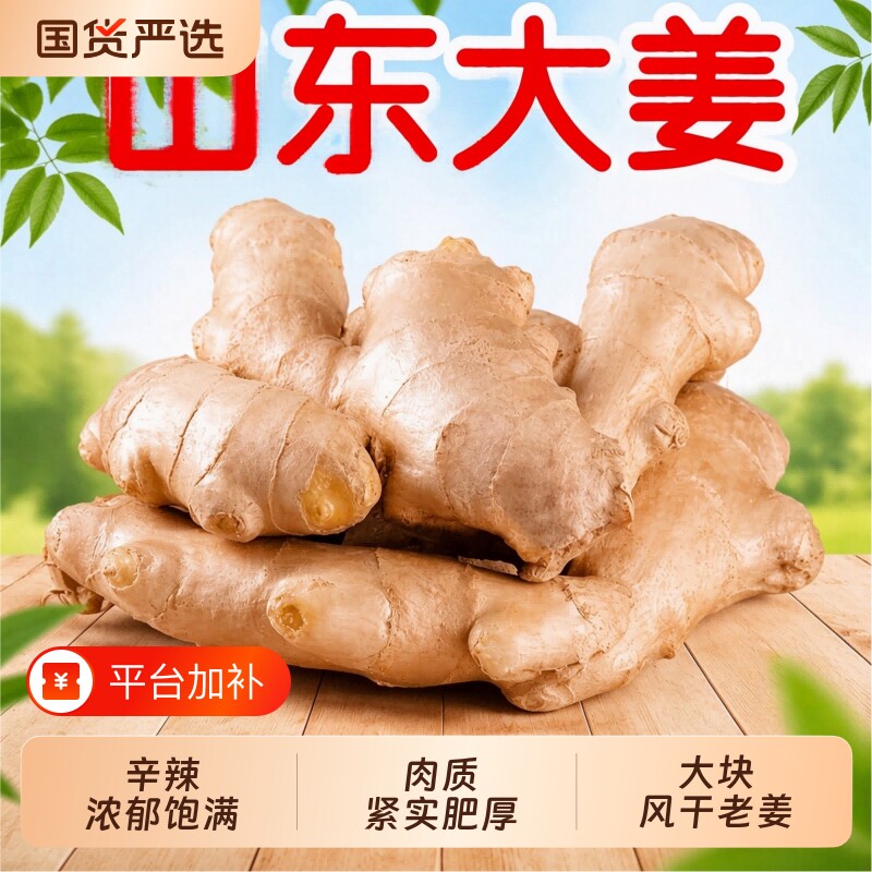 山东风干大姜精选无泥生姜月子老姜无硫黄姜新鲜大块厨房调味整箱