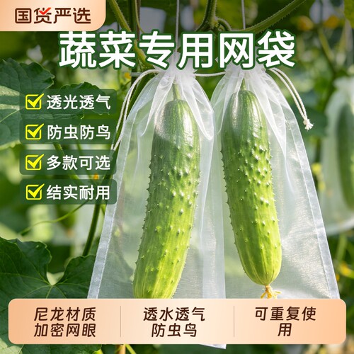 蔬果防鸟套袋瓜果黄瓜苦瓜丝瓜茄子通用蔬菜瓜果防虫袋尼龙网纱袋