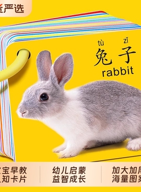 儿童卡片早教认知启蒙书动物世界认知卡幼儿数字益智玩具大尺寸