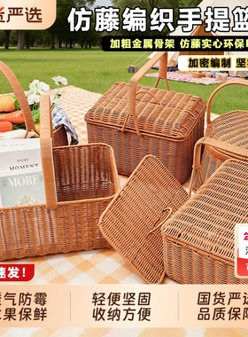 仿藤塑料编织提手方形野餐篮PP仿藤篮购物篮菜篮采摘果篮子果蔬篮