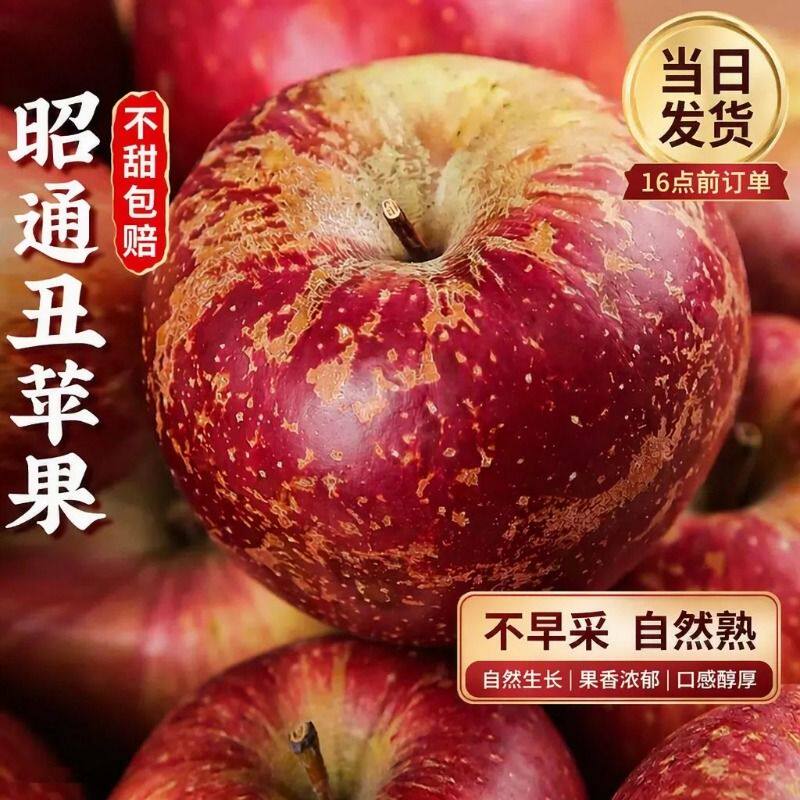 云南昭通红露丑苹果正宗冰糖心红富士新鲜水果当季整箱产地直发