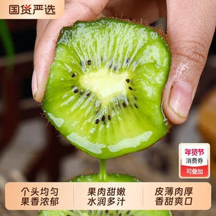 正宗徐香猕猴桃新鲜包邮整箱应季特产水果陕西奇异果香甜年货果子