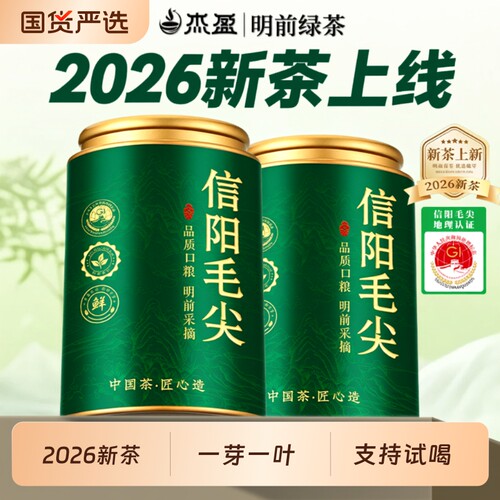 2026新茶信阳毛尖250g
