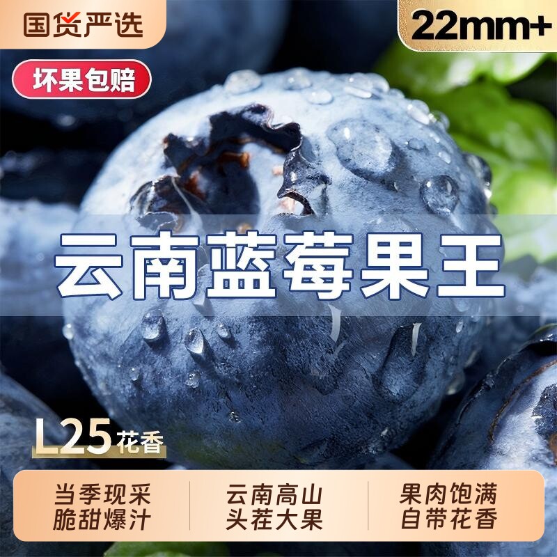 云南蓝莓鲜果新鲜水果当季高山怡颗孕妇大果整箱顺丰包邮花香优选