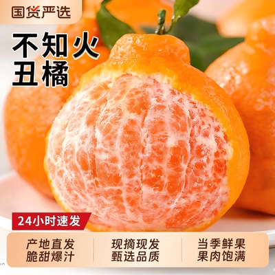 不知火丑柑蜜橘鲜甜多汁当季鲜果