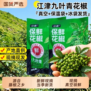 新鲜青花椒真空保鲜350g重庆江津九叶青藤椒花椒现摘四川花椒商用