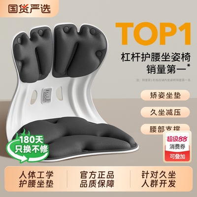 OES护腰坐垫靠背一体办公室人体工学大号坐姿椅久坐不累护腰神器