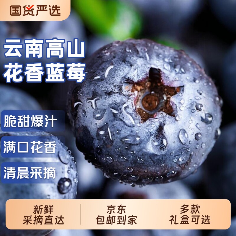 云南高山花香蓝莓特大果头茬鲜果新鲜水果当应季整箱京东包邮花香
