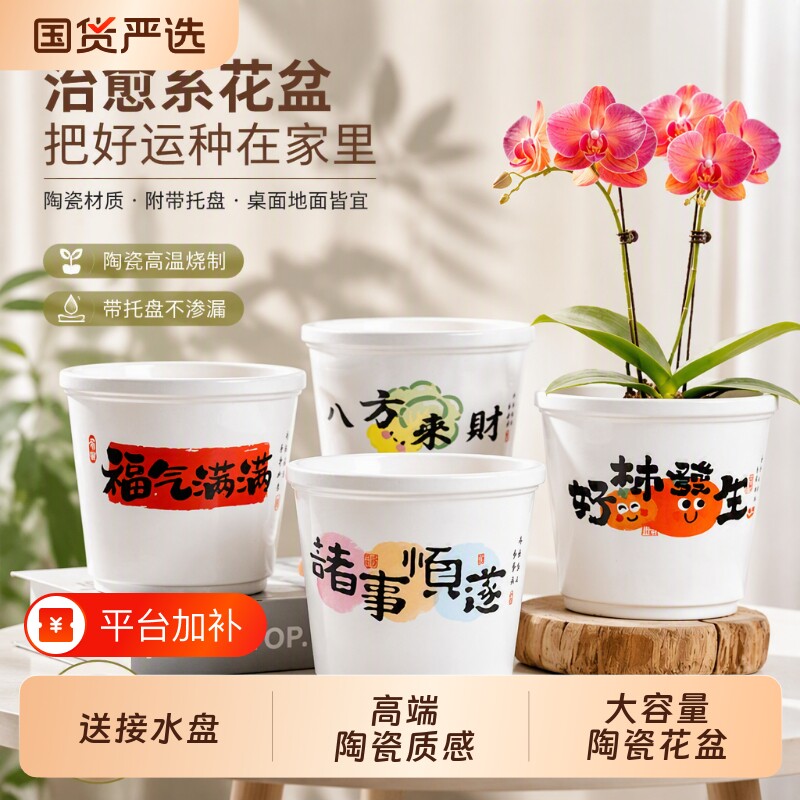 新款陶瓷花盆家用大号花瓶蝴蝶兰吊兰多肉红掌室内盆简约带托盘