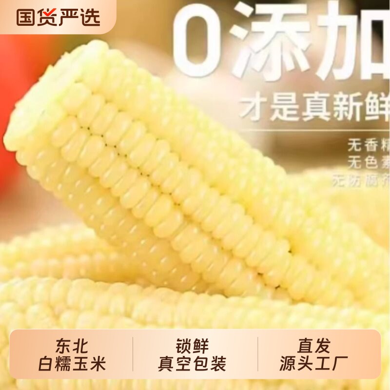 10支东北白糯粘玉米真空袋装新鲜加热即食黏玉米棒低脂0添加整箱