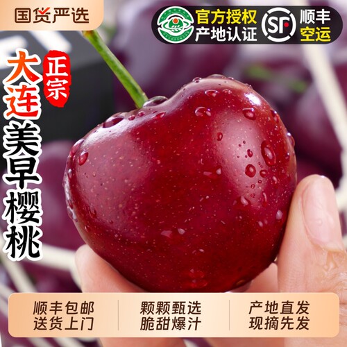 大连美早新鲜水果大樱桃当季整箱装5J国产车厘子顺丰空运包邮时令