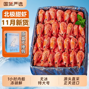 北极虾甜虾冰虾头籽腹籽刺身大虾北极熊旗舰店新鲜鲜活海鲜虾即食