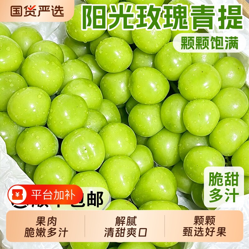 阳光玫瑰葡萄新鲜水果晴王葡萄无籽香印提子青提当季现摘整箱顺丰