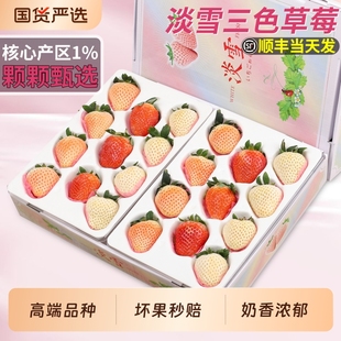 顺丰淡雪三色草莓新鲜水果当季粉玉白雪孕妇儿童甜水果甜整箱包邮