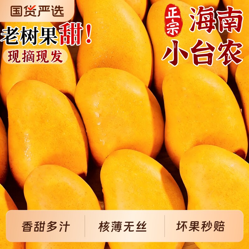 正宗海南小台农芒芒果新鲜9斤大果当季现摘水果热带特产芒果甜香