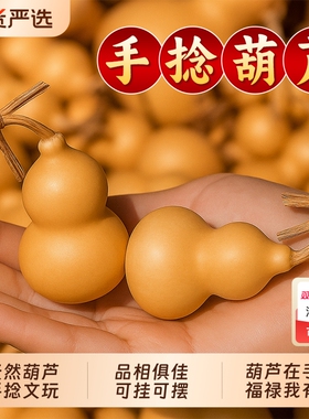 天然小葫芦文玩带龙头胖墩手捻把玩精品野生胡芦挂件迷你家居摆件