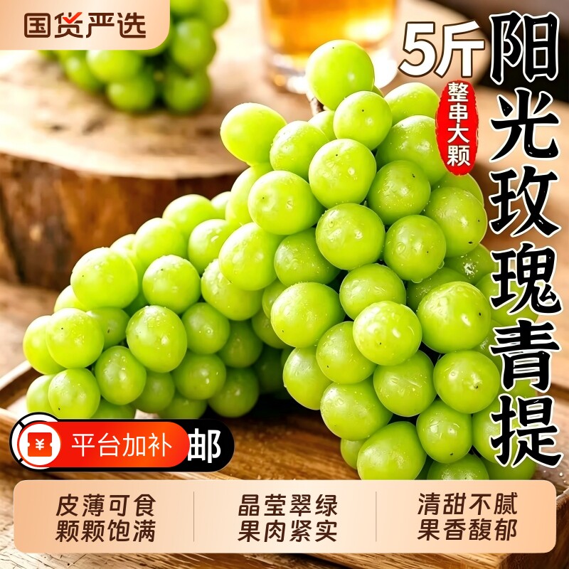 阳光玫瑰葡萄新鲜水果5斤彩箱礼盒晴王香印青提当季整箱顺丰包邮