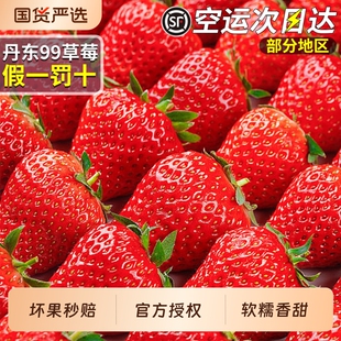 顺丰空运正宗丹东九九奶油草莓新鲜红颜草莓水果整箱包邮红色大果