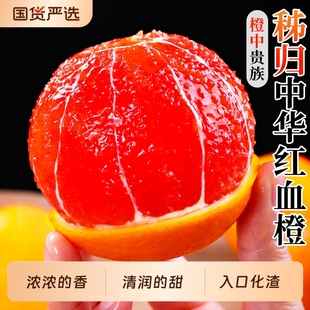 秭归血橙中华红橙新鲜橙子水果当季整箱红心肉甜橙手剥果冻橙包邮