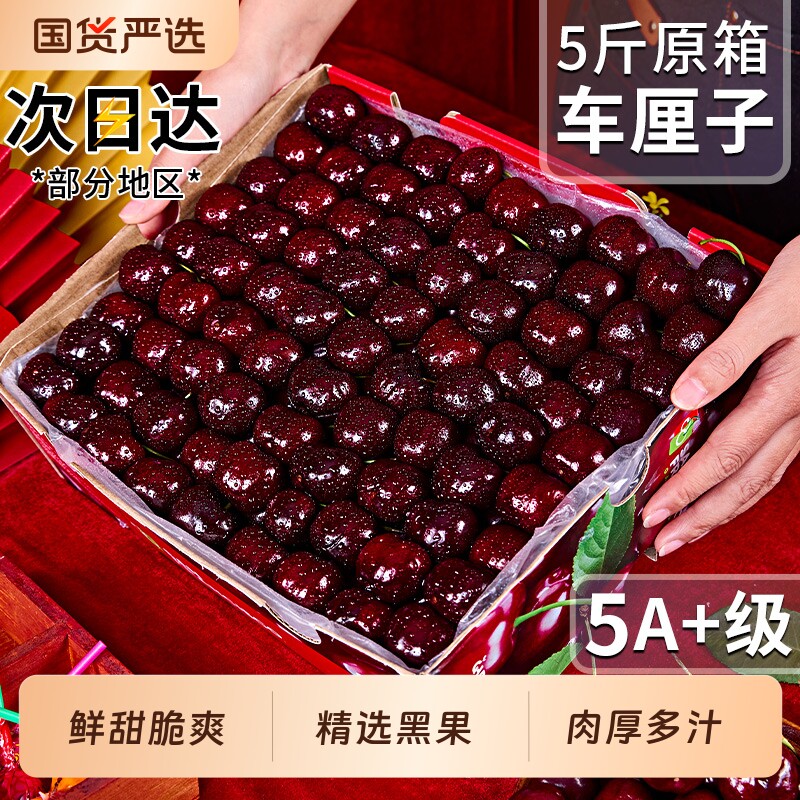 原版原箱|智利进口车厘子5斤3j整箱礼盒包邮新鲜水果当季大樱桃