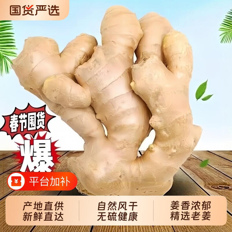 山东大姜生姜新鲜老姜黄姜风干月子姜食用泡脚洗发大姜块批发正宗