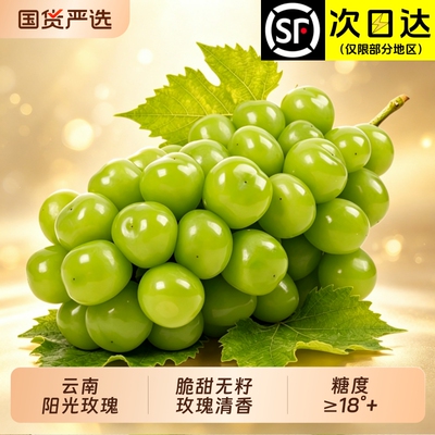 X-PLUS云南阳光玫瑰礼盒葡萄5斤新鲜水果晴王香印青提顺丰包邮