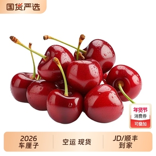 2026现货进口智利车厘子5斤新鲜水果包邮整箱3j大樱桃空运原箱