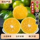 包邮 云南高山冰糖橙当季 新鲜水果现摘哀牢山橙冰糖橙手剥甜橙整箱
