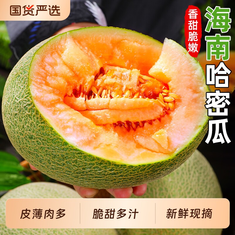 海南哈密瓜正宗晓蜜25号新鲜当季水果脆甜网纹西州蜜脆甜整箱包邮