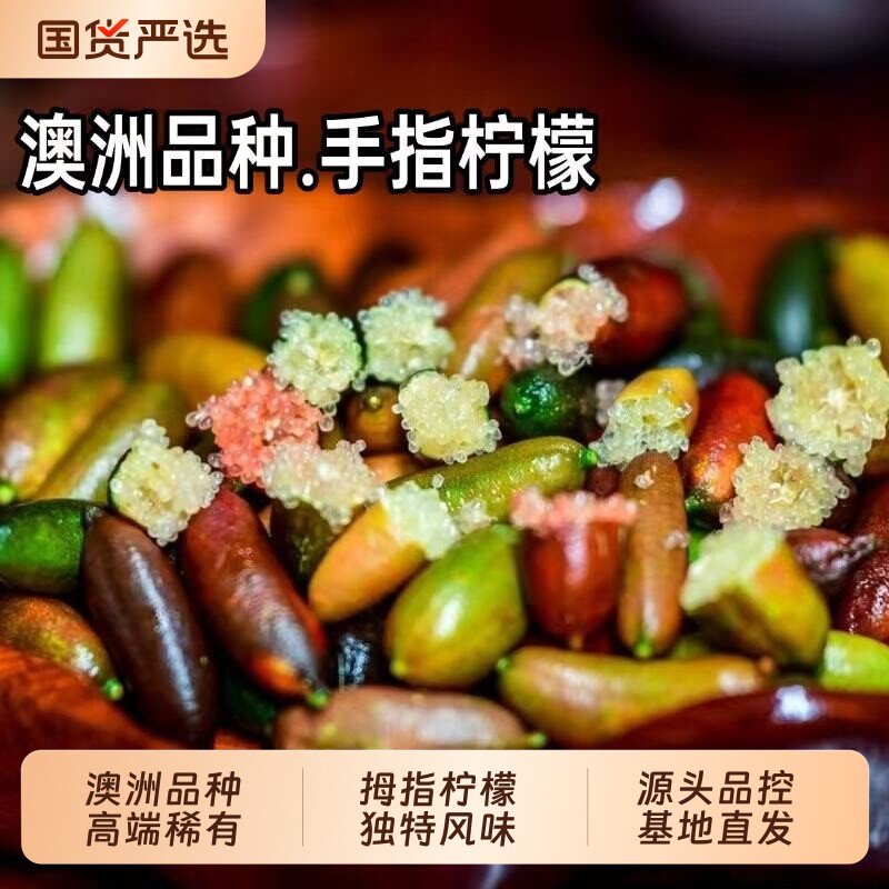 手指柠檬新鲜澳洲品种指橘鱼子酱拇指鲜果装饰西餐摆盘点缀鲜水果