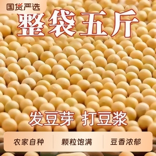 山西农家自种杂粮黄豆低脂高蛋白颗粒饱满新鲜原料磨豆浆豆腐粗粮