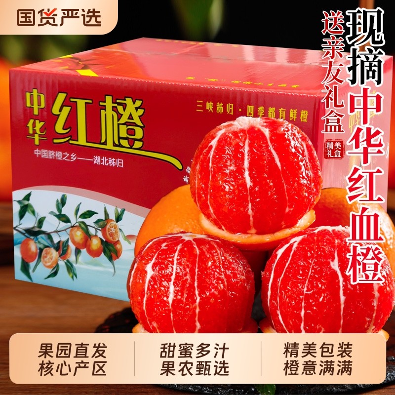 中华红血橙精美礼盒装包邮新鲜水果当季时令整箱红心红肉橙子