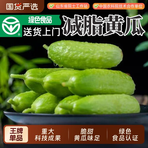 新品种减脂黄瓜送货上门
