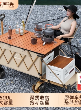 Updown露营推车可折叠户外野餐大号车拉车旅行野营小拖车折叠桌