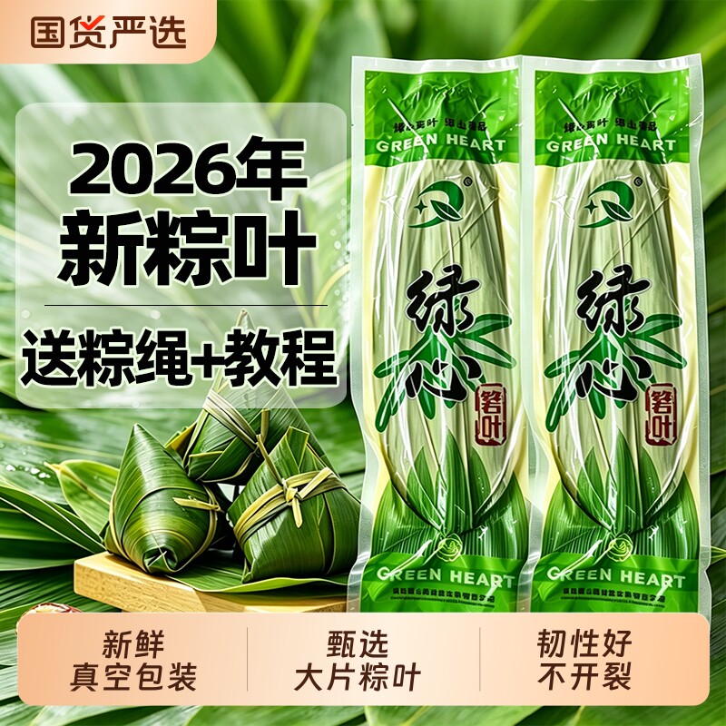 棕叶新鲜大号粽子叶端午节新叶包粽子专用的叶子商用批发新鲜粽叶