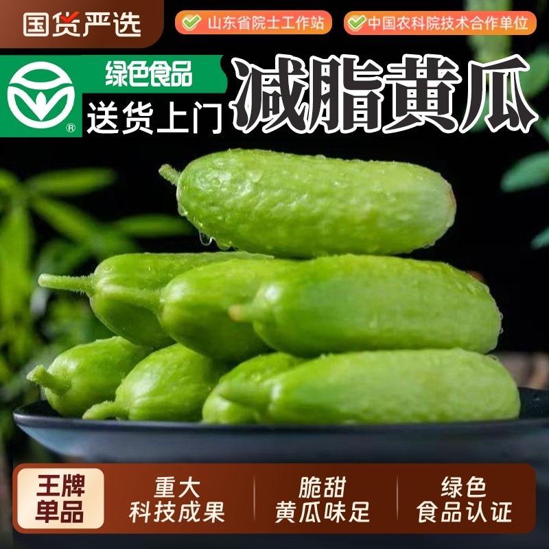 [绿色认证]减脂黄瓜中农脆玉3号新鲜减脂餐顺丰包邮生吃代餐现摘