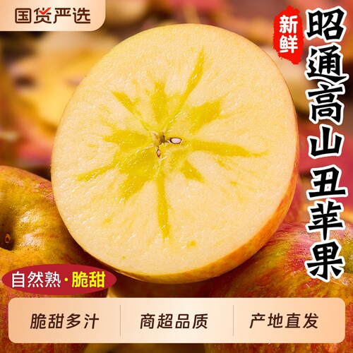 产地直发才正宗昭通糖心丑苹果